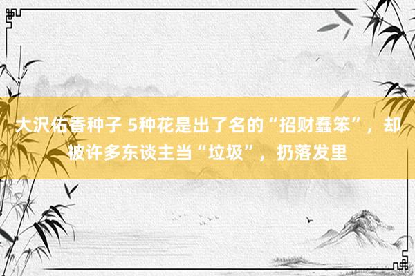 大沢佑香种子 5种花是出了名的“招财蠢笨”，却被许多东谈主当“垃圾”，扔落发里