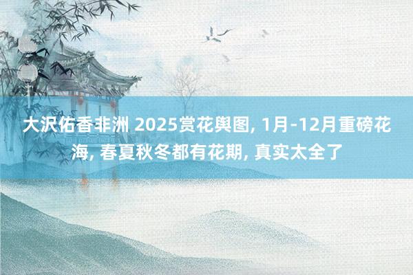 大沢佑香非洲 2025赏花舆图， 1月-12月重磅花海， 春夏秋冬都有花期， 真实太全了