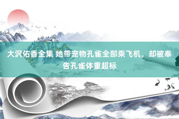 大沢佑香全集 她带宠物孔雀全部乘飞机，却被奉告孔雀体重超标