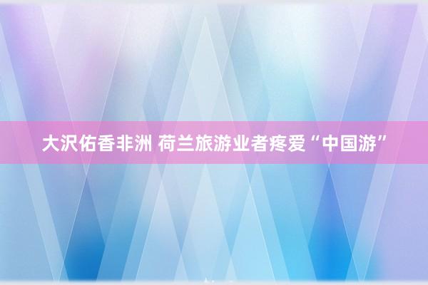 大沢佑香非洲 荷兰旅游业者疼爱“中国游”