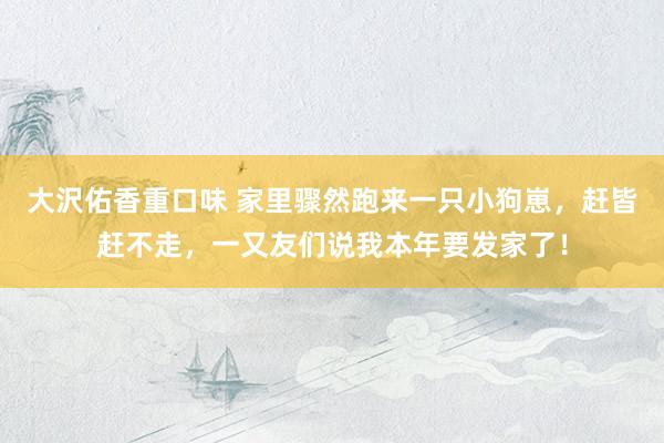 大沢佑香重口味 家里骤然跑来一只小狗崽，赶皆赶不走，一又友们说我本年要发家了！