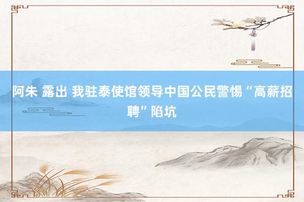 阿朱 露出 我驻泰使馆领导中国公民警惕“高薪招聘”陷坑