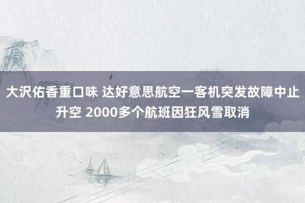 大沢佑香重口味 达好意思航空一客机突发故障中止升空 2000多个航班因狂风雪取消