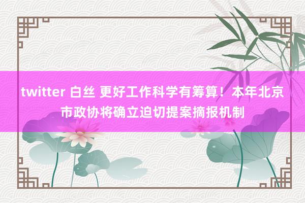 twitter 白丝 更好工作科学有筹算！本年北京市政协将确立迫切提案摘报机制