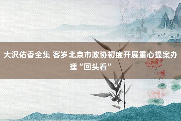大沢佑香全集 客岁北京市政协初度开展重心提案办理“回头看”