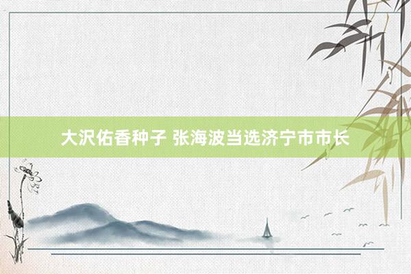 大沢佑香种子 张海波当选济宁市市长