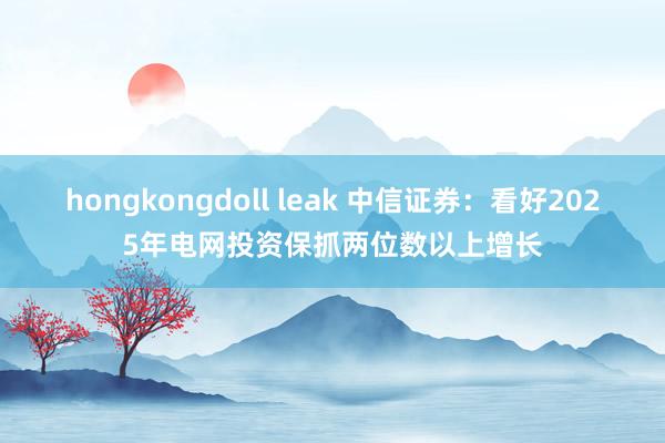 hongkongdoll leak 中信证券：看好2025年电网投资保抓两位数以上增长