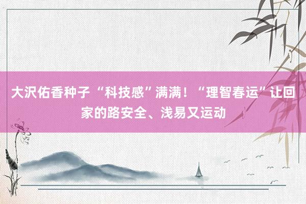 大沢佑香种子 “科技感”满满！“理智春运”让回家的路安全、浅易又运动