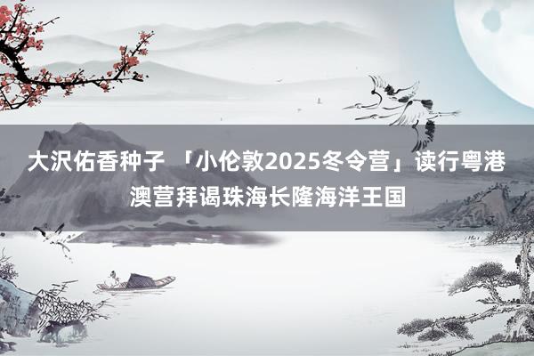 大沢佑香种子 「小伦敦2025冬令营」读行粤港澳营拜谒珠海长隆海洋王国