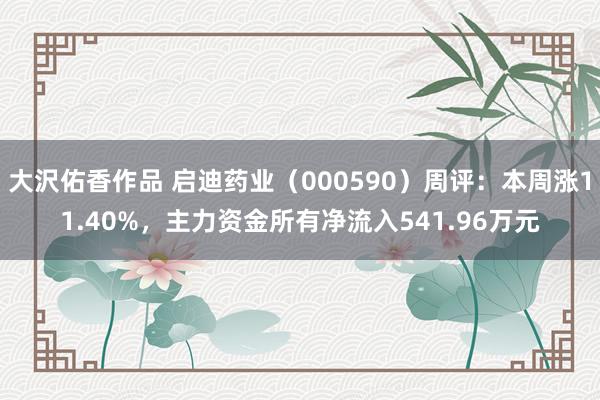 大沢佑香作品 启迪药业（000590）周评：本周涨11.40%，主力资金所有净流入541.96万元