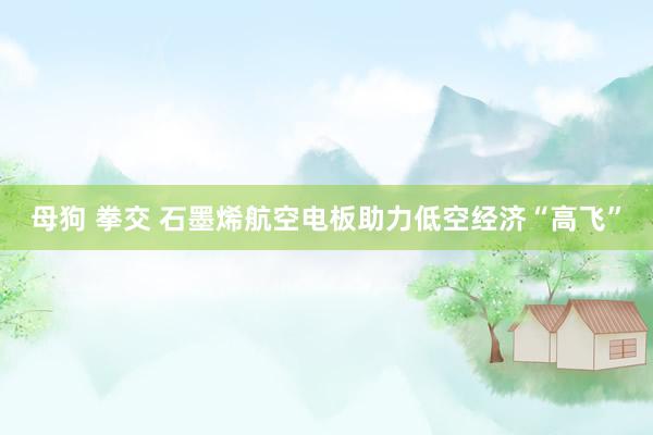 母狗 拳交 石墨烯航空电板助力低空经济“高飞”