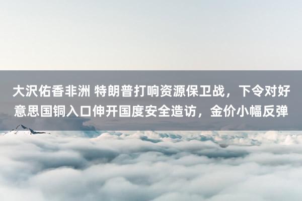 大沢佑香非洲 特朗普打响资源保卫战，下令对好意思国铜入口伸开国度安全造访，金价小幅反弹