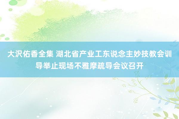 大沢佑香全集 湖北省产业工东说念主妙技教会训导举止现场不雅摩疏导会议召开