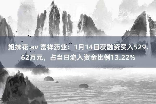 姐妹花 av 富祥药业：1月14日获融资买入529.62万元，占当日流入资金比例13.22%