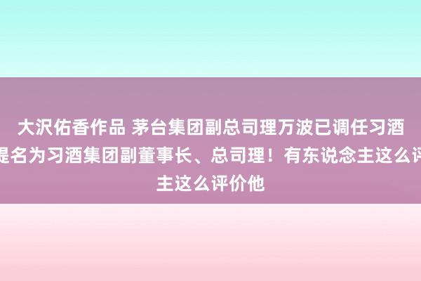 大沢佑香作品 茅台集团副总司理万波已调任习酒，被提名为习酒集团副董事长、总司理！有东说念主这么评价他