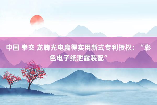 中国 拳交 龙腾光电赢得实用新式专利授权：“彩色电子纸泄露装配”
