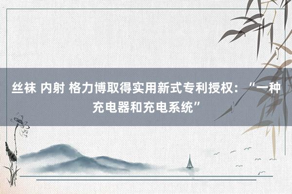 丝袜 内射 格力博取得实用新式专利授权：“一种充电器和充电系统”