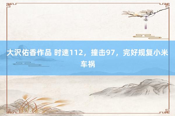 大沢佑香作品 时速112，撞击97，完好规复小米车祸