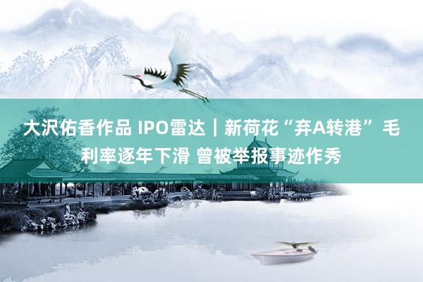 大沢佑香作品 IPO雷达｜新荷花“弃A转港” 毛利率逐年下滑 曾被举报事迹作秀