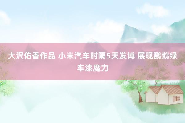 大沢佑香作品 小米汽车时隔5天发博 展现鹦鹉绿车漆魔力