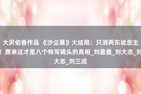 大沢佑香作品 《沙尘暴》大结局：只消两东说念主辞世！原来这才是八个特写镜头的真相_刘盈盈_刘大志_刘三成
