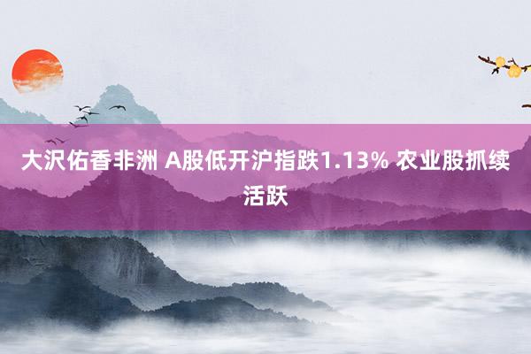 大沢佑香非洲 A股低开沪指跌1.13% 农业股抓续活跃