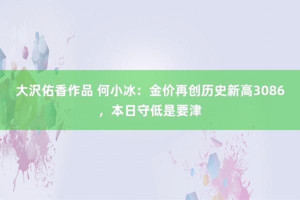 大沢佑香作品 何小冰：金价再创历史新高3086，本日守低是要津
