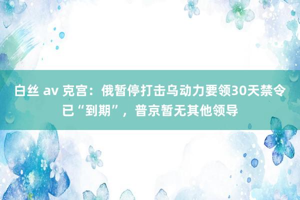 白丝 av 克宫：俄暂停打击乌动力要领30天禁令已“到期”，普京暂无其他领导